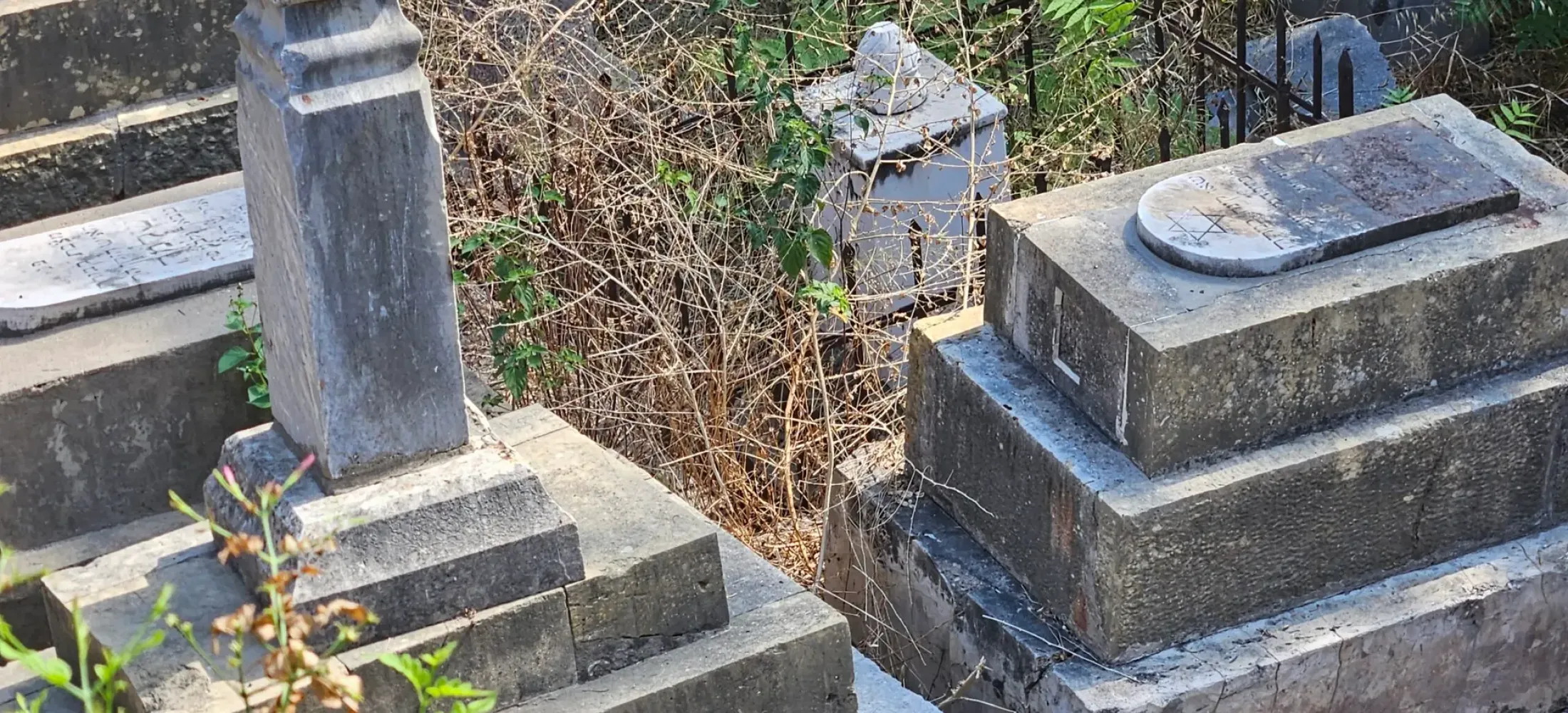 Cimetière juif de Beyrouth - DR
