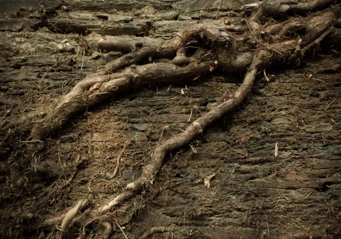 © Flickr CC CC BY-NC-ND 2.0 / Arnet https://www.flickr.com/photos/gurvan/1618466759/in/photolist-3t24Mi-r6BVqo-6VvkEu-96Mjia-BVKfs5-JSXfx2-asew3Y-9B2Uvr-96QmRd-e7MtXc-2VE5H9-pyUccN-r2ZWnU-frvdSd-8RuQAm-96MkU2-5vg6R2-C41VXE-mae6nh-WuFabC-g24PbV-VBEHho-aKbfCX-aKbfrr-9JxLzb-aKbfng-aKbfiD-aaJDLk-aKbfhi-aKbfMZ-aaJDX6-EKFb9-VRUZc6-59Br2y-96MnBB-6KLxzi-bx9VWR-96QeeU-iHsKHy-9naWD1-h9qvBB-7EwUoJ-q2WUND-Ewtz4i-6FRSPR-pyV7Mx-JSXgnt-z8Mxfc-8ANW19-BVJc6C