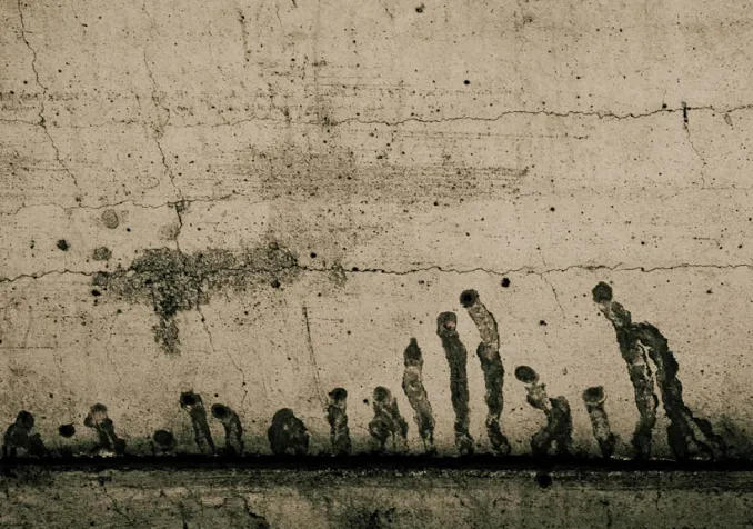 CC (by-nc-nd) Evan Lavine