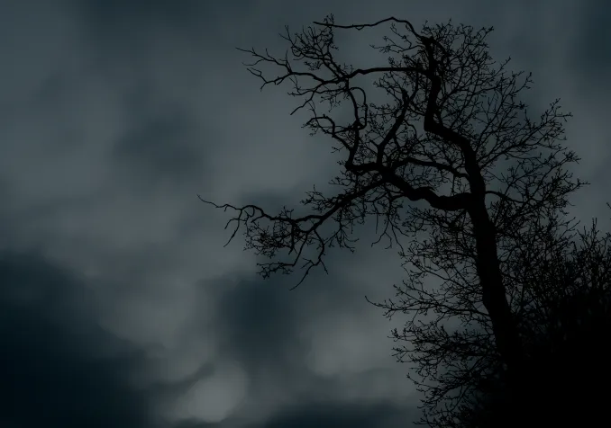 © Flickr CC CC BY 2.0 / Fabien Lemtayer https://www.flickr.com/photos/fabien_lemetayer/8633585473/in/photolist-e9VoaX-ceK9LC-g6S4he-98w3uw-7Qfxyw-9fn3Ud-ovTfDR-75VyDs-9fn42j-5XKta9-6RLeAm-a87ANr-9fiW9V-bca752-2vHbQ6-4H8ssw-bZZARd-fMhCXp-o8HEsH-8uKKyA-a7wBes-dmEYty-5CRUjF-bcBeMc-dj6iic-dj6j5r-r76EGk-a4e6jV-dmEZQu-dj6j5A-dmEWn6-dmEZ5N-diyLLN-dmEWzX-c6wjH7-dmEXu8-r76L4T-9xcAsG-oR1nY-av1sQh-k5BtHT-fPk1fD-8qxo8k-fTyHY-94ezj8-dsQGF8-dmEWe2-diyMKG-dj6jhS-diyK5u