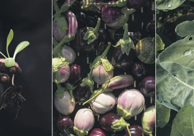 La ferme de Praz Bonjour. Ses fondateurs ont animé un atelier de préparation à la campagne œcuménique de carême en décembre 2022. © Joachim Sommer