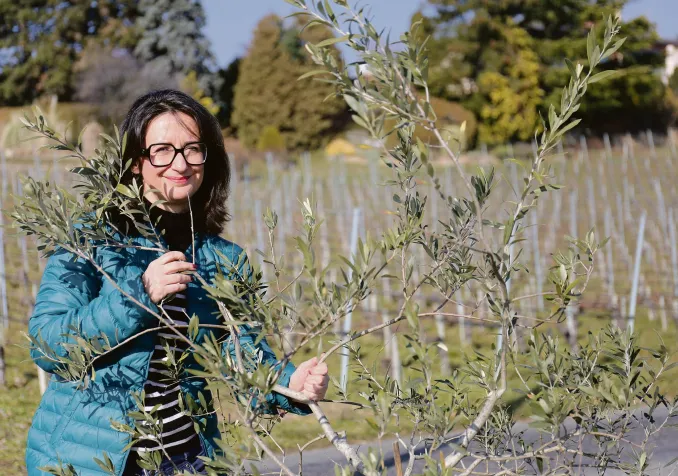 Noémie Graff © Patrick Gilliéron Lopreno