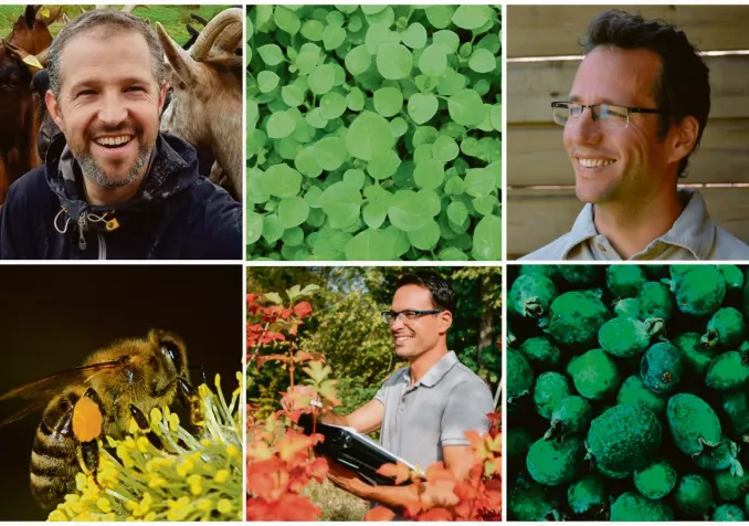 Samuel Dépraz, Gilles Metzener, Yves Loerincik © Association Jardin-Forêt d’Eos