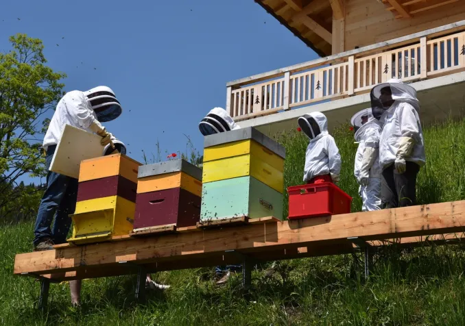 Un paroissien et apiculteur de Chesières a récemment proposé une journée découverte des abeilles. ©DR