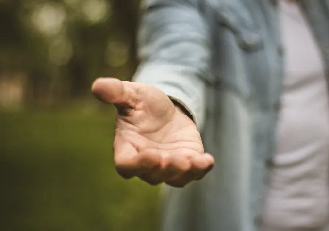 ©istock/Mladen Zivkovic