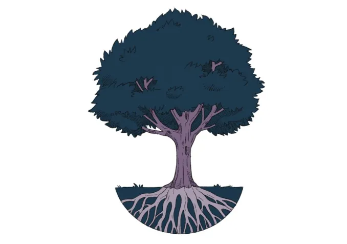 La joie, racine du Royaume des cieux © Mathieu Paillard