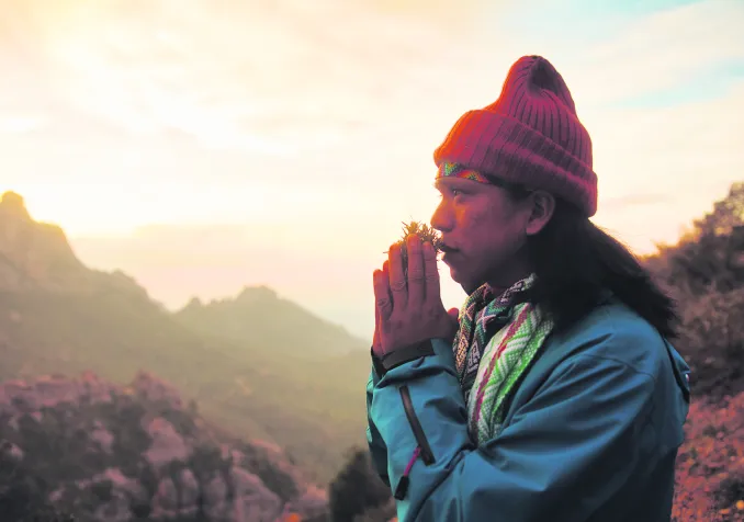 ©iFloresta TV - Guilherme Meneghelli