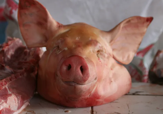 Image d'illustration Istock