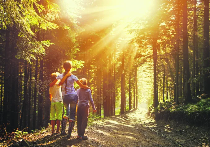 Une femme et deux enfants en forêt regardent le soleil qui perce à travers les arbres