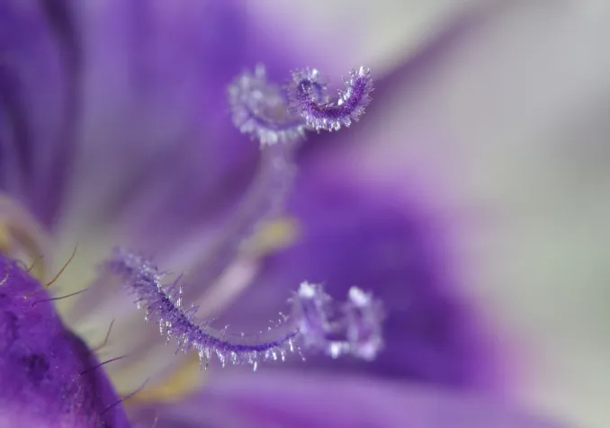  Laura Ockel/Unsplash