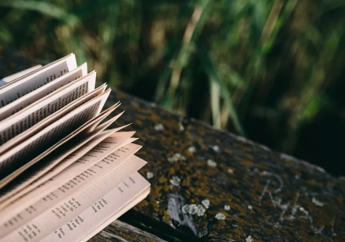 Des livres pour Pâques piqsels.com-id-szhfj.jpg