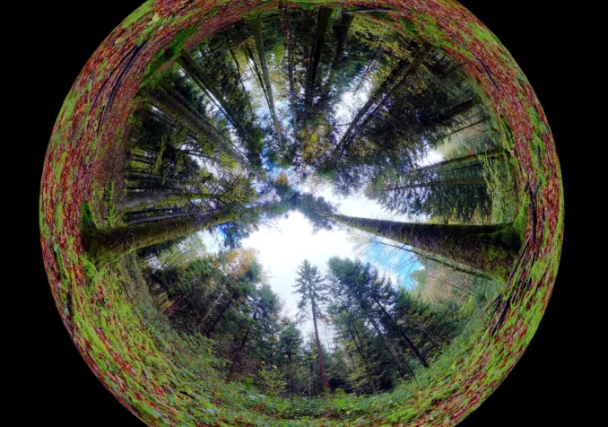 Le monde à 360° Vers d'autres résonances