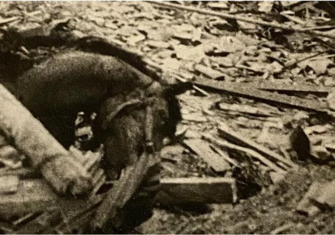 La bombe et le CICR La bombe et le CICR