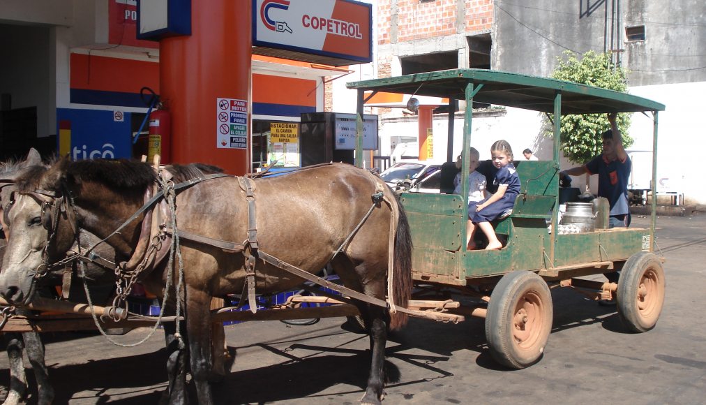 CC Domaine public - Patricia Perez de Viveros - San Ignacio Paraguay _ Légende : des mennonites au Paraguay CC Domaine public - Patricia Perez de Viveros - San Ignacio Paraguay _ Légende : des mennonites au Paraguay