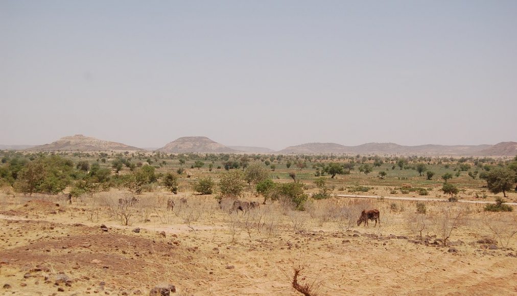 Les premiers déradicalisés de Boko Haram au Niger Les premiers déradicalisés de Boko Haram au Niger / ©Wikimedia Commons/Roland Hunziker/CC BY-SA 2.0