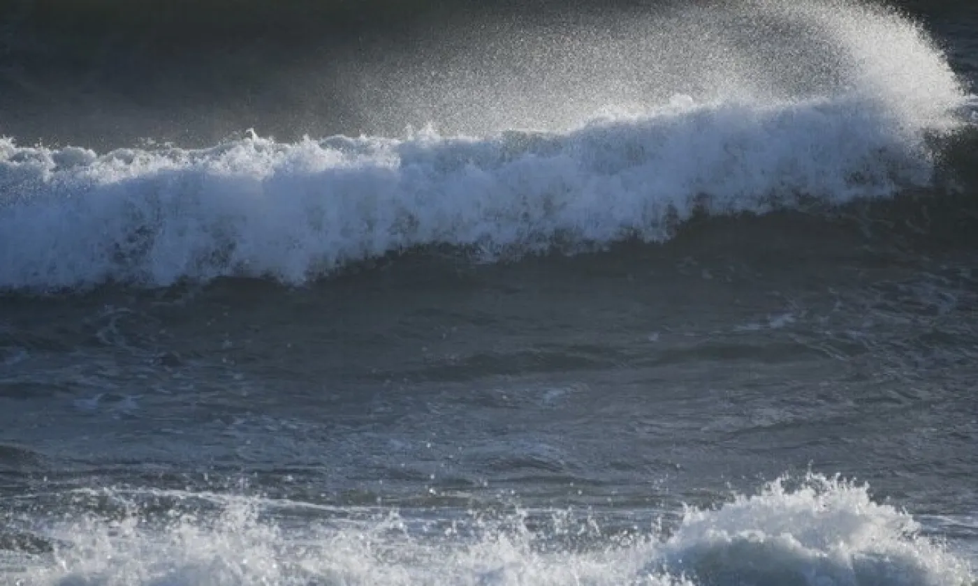 Hans Lucas via AFP - MAGALI COHEN