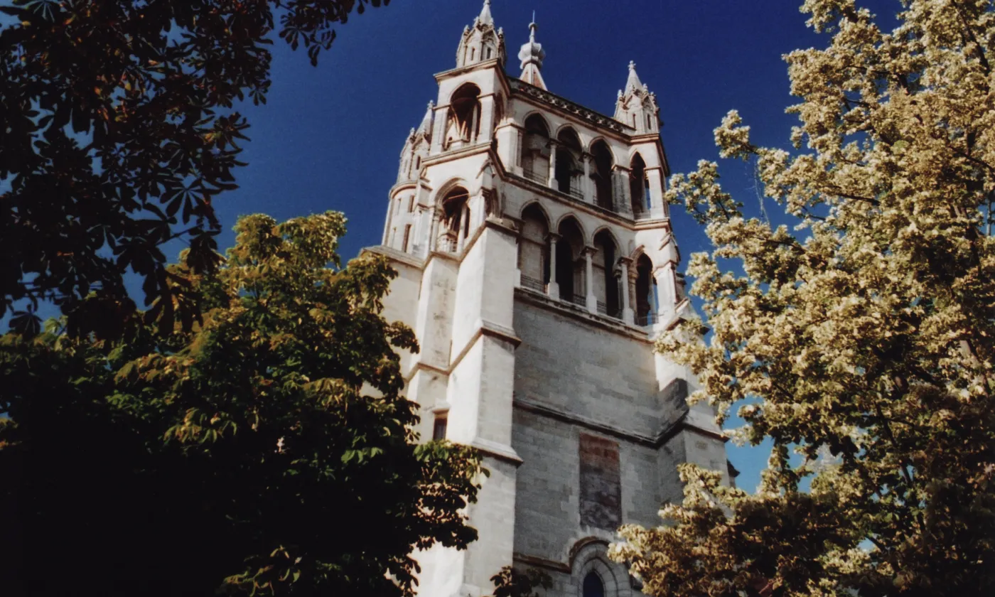 © CC Alessio Maffeis