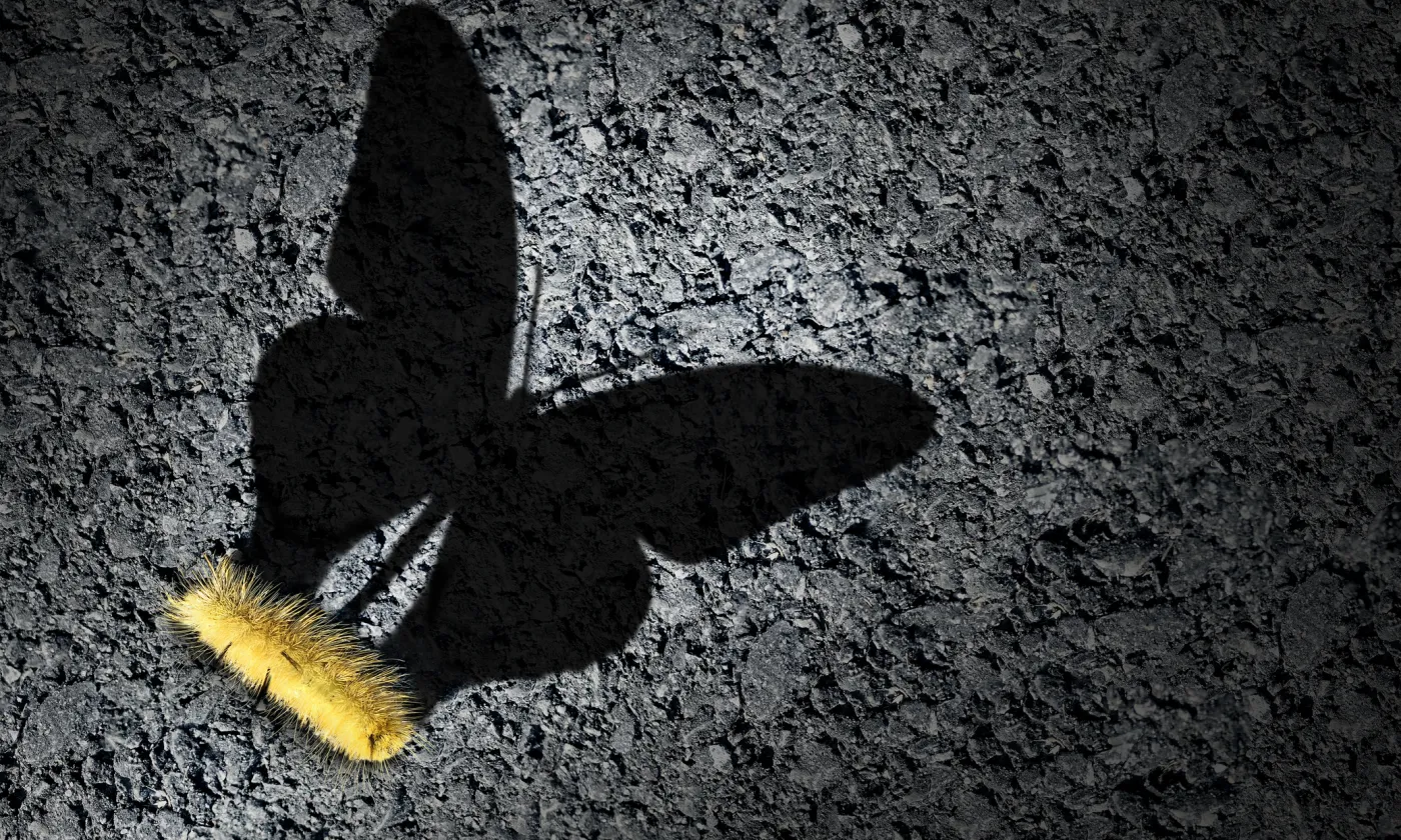 Image d'illustration ©iStock