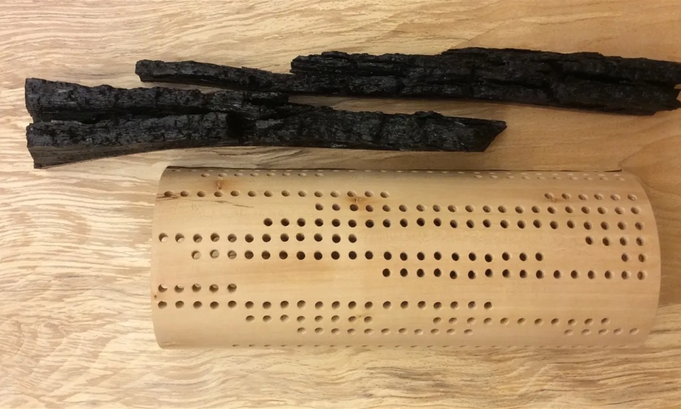 Exposition «Méditation Bois» à Bienne ©DR