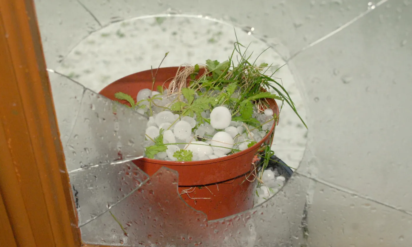 Il n’y a pas d’assurances contre les brisures de vie! ©Emmanuel Spring