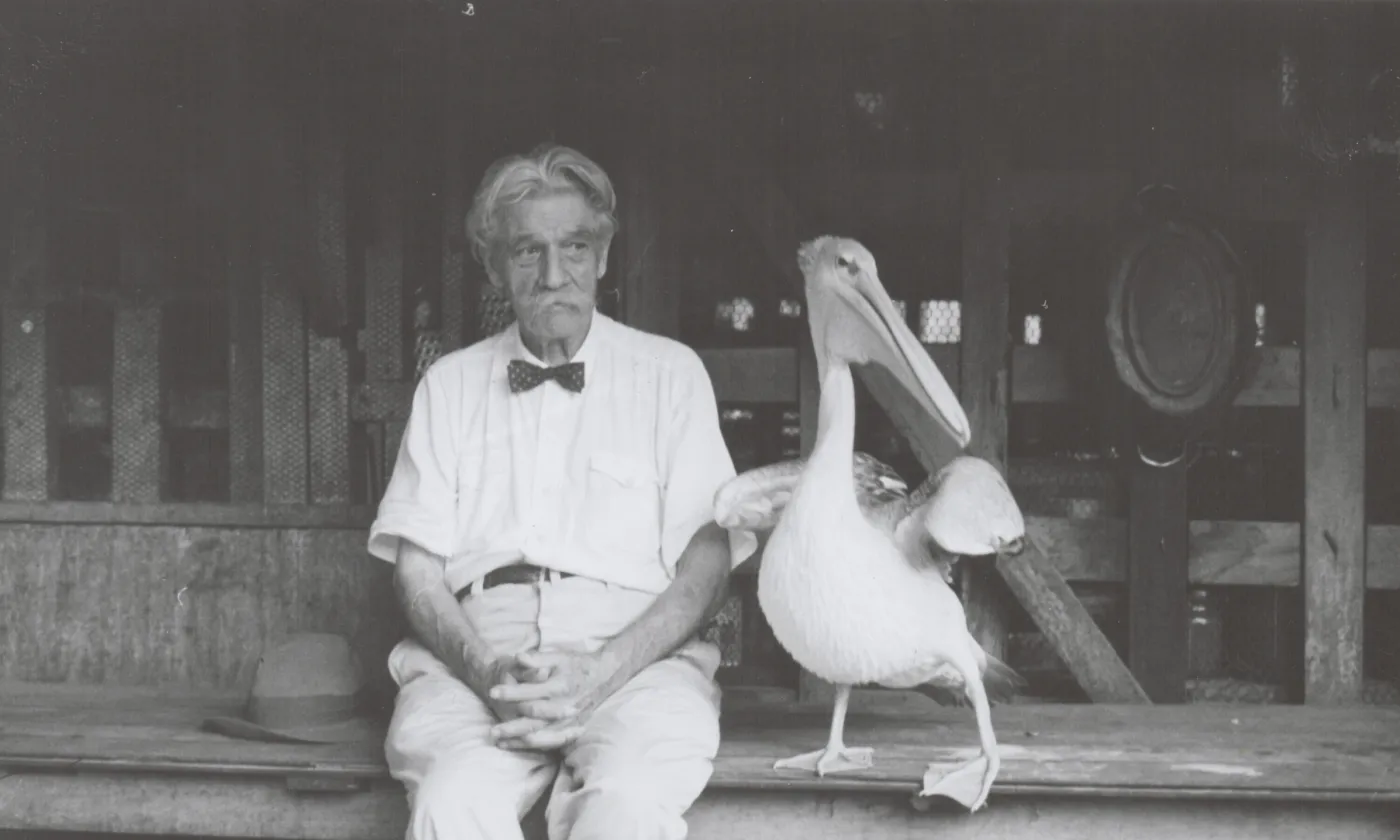 Albert Schweitzer a été un précurseur de la pensée écologique. Il avait pour animal de compagnie un pélican baptisé Parsifal. © Archives Maison Schweitzer-Gunsbach