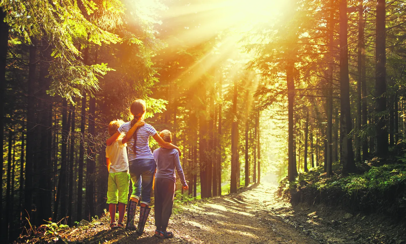 ©istock Une femme et deux enfants en forêt regardent le soleil qui perce à travers les arbres