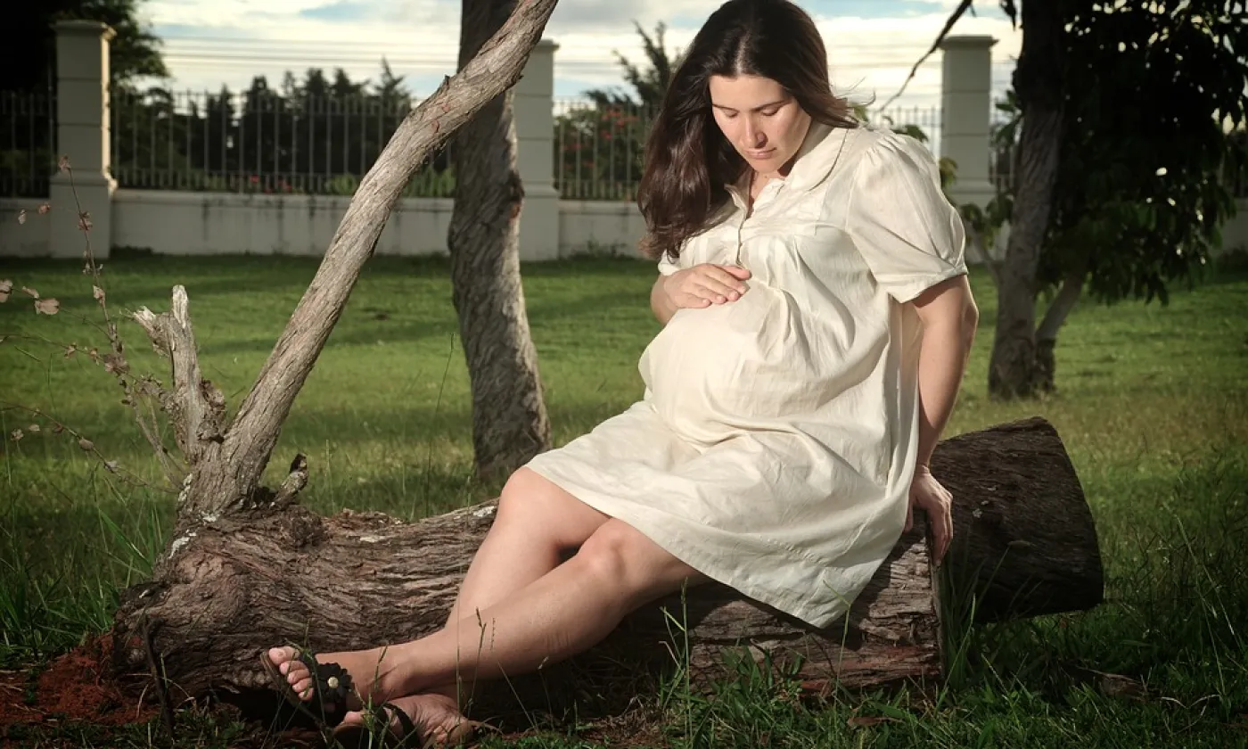 Enceinte en attente CC0 Pixabay