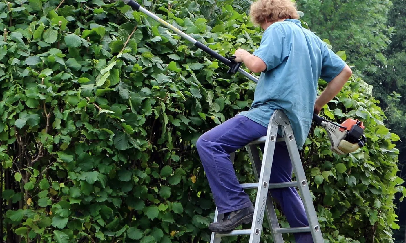 La qualité quand l'Esprit façonne la nature Quand l'Esprit façonne la nature