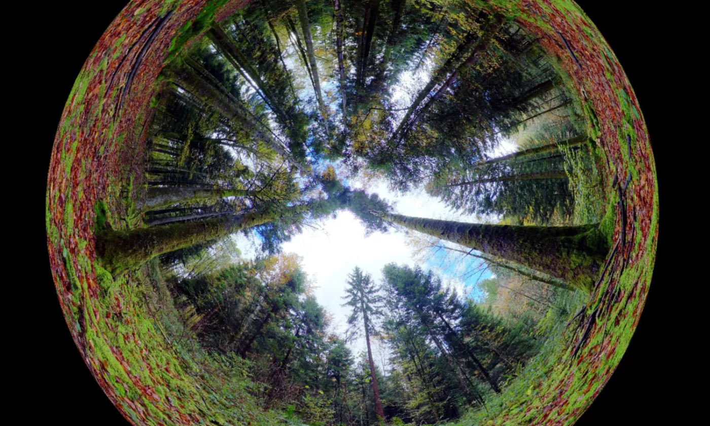 Le monde à 360° Vers d'autres résonances
