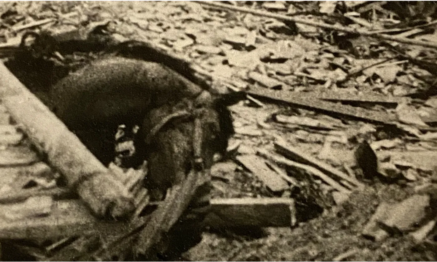 La bombe et le CICR La bombe et le CICR