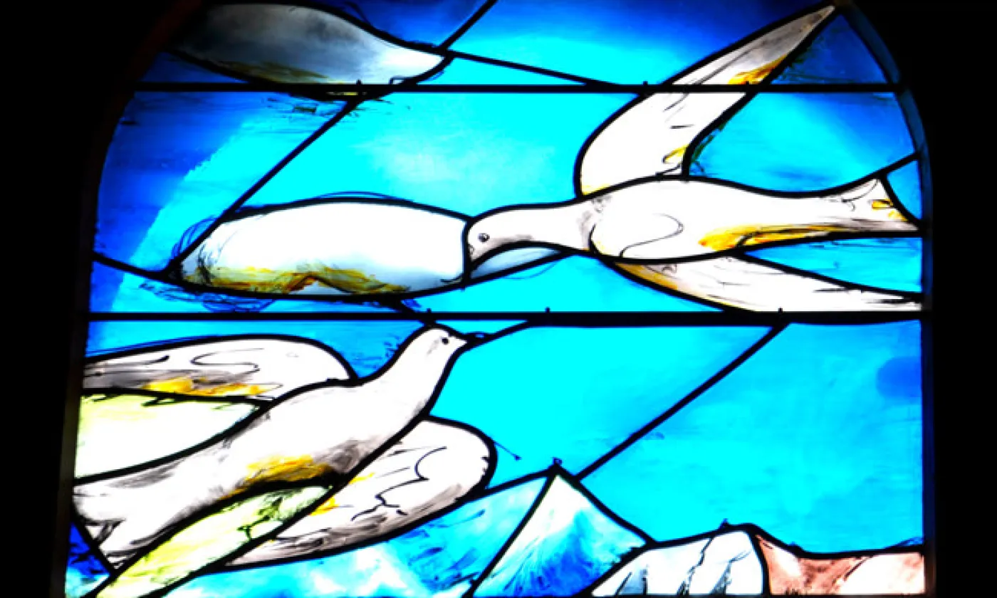 Alexandra Urfer Jungen