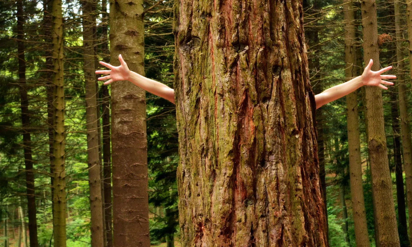 © Flickr cc CC BY 2.0 / Marina Del Castell