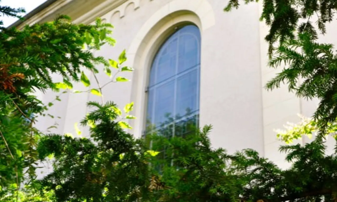 Alexandra Urfer Jungen