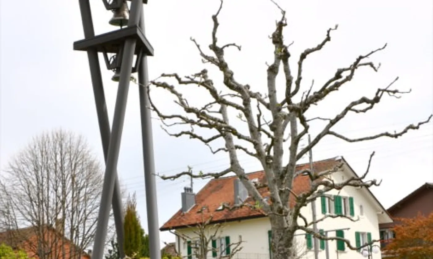 Alexandra Urfer Jungen