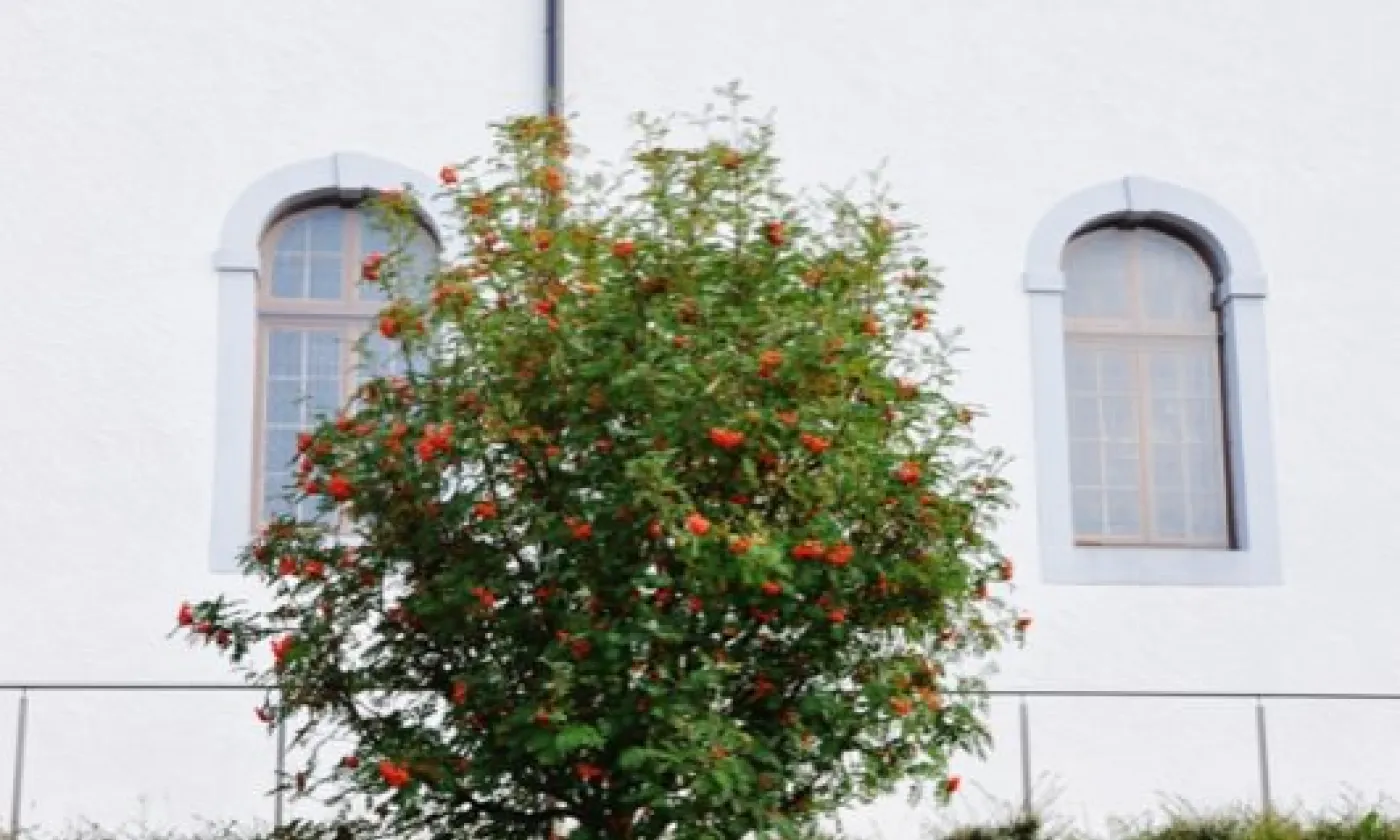 Alexandra Urfer Jungen