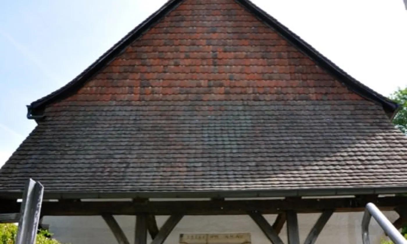 Alexandra Urfer Jungen