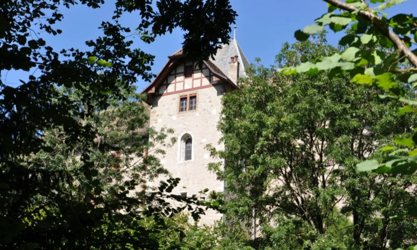 Alexandra Urfer Jungen