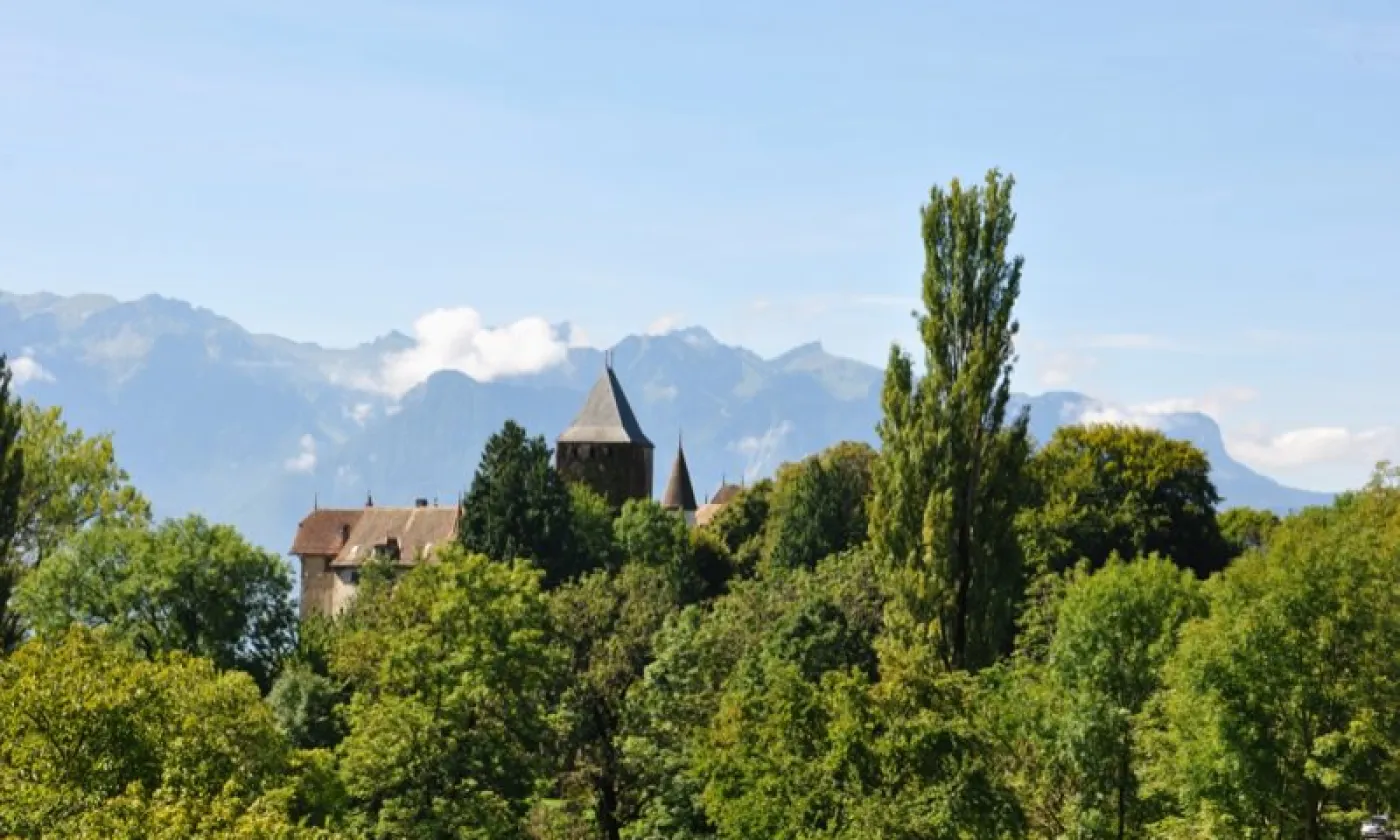 Alexandra Urfer Jungen