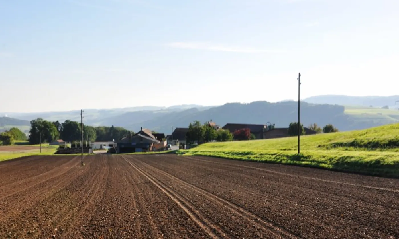 Alexandra Urfer Jungen