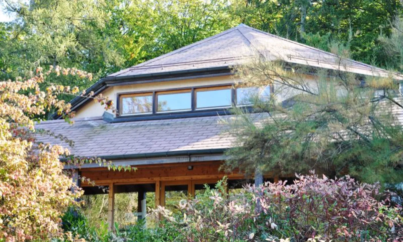 Alexandra Urfer Jungen