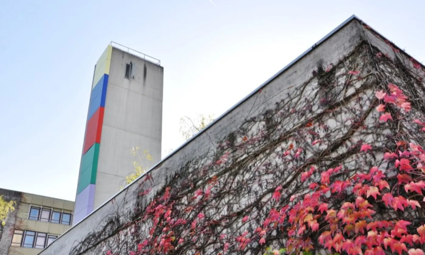 Alexandra Urfer Jungen