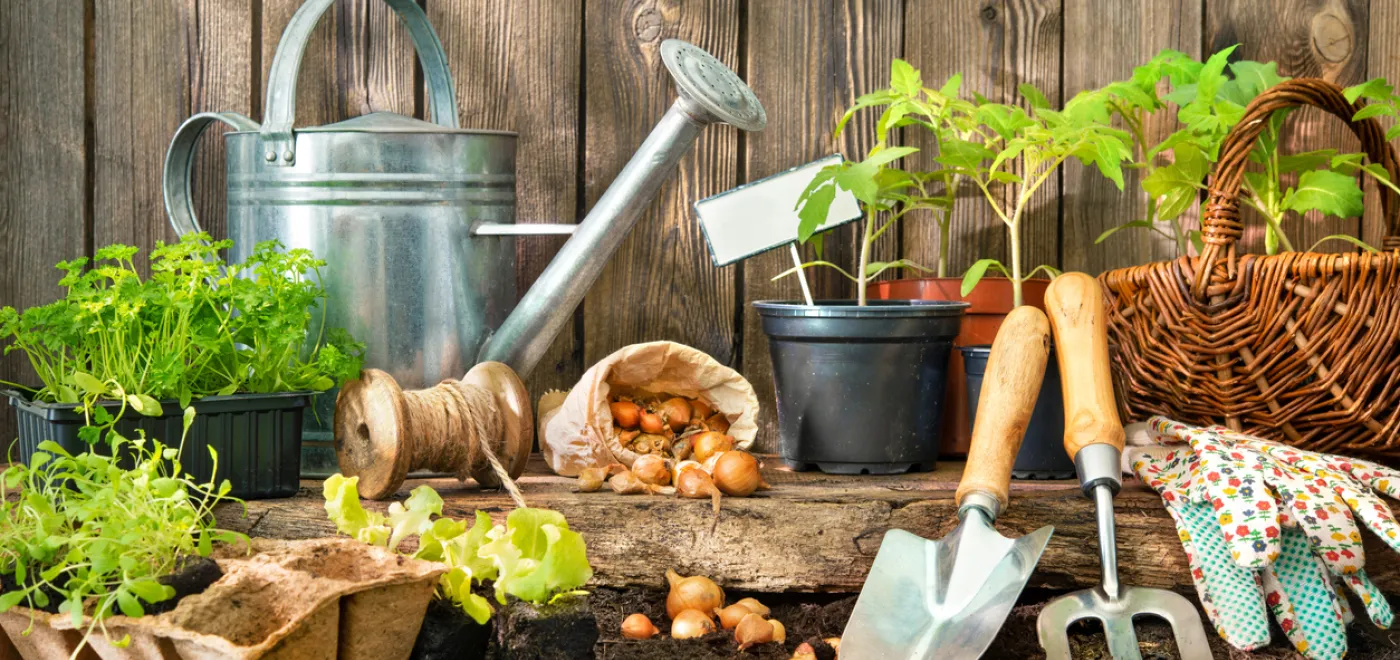 La vie en vert ©iStock/AlexRaths